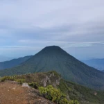 Gunung Gede-Pangrango: Eksplorasi Keindahan Alam dan Keunikan Ekosistem di Jawa Barat