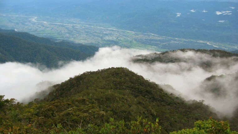 taman nasional gunung leuser