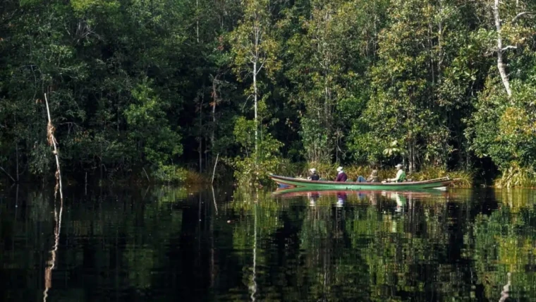 Taman Nasional Sebangau
