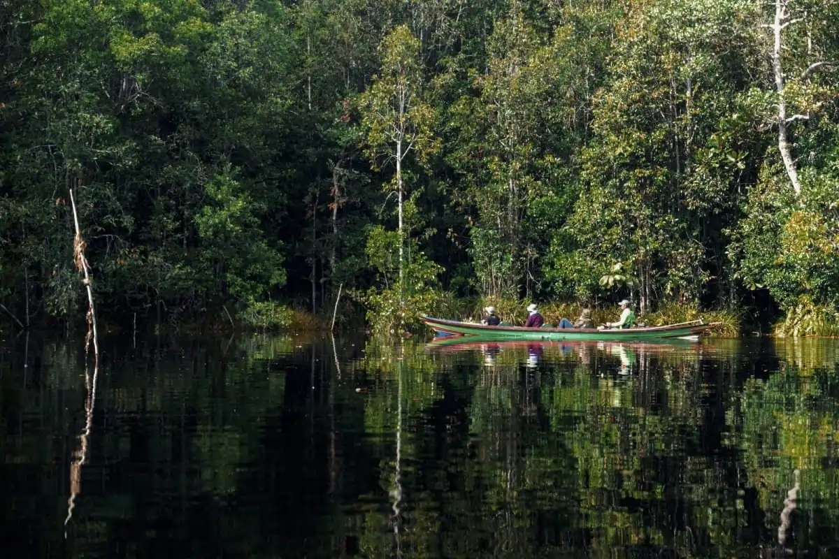 Taman Nasional Sebangau