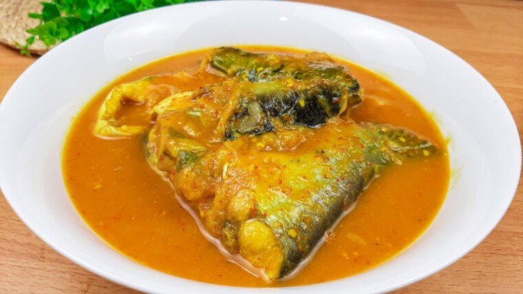 Tempoyak Patin