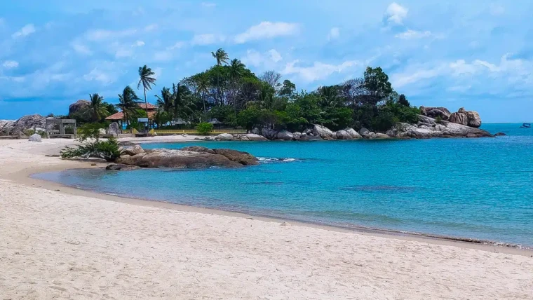 Parai