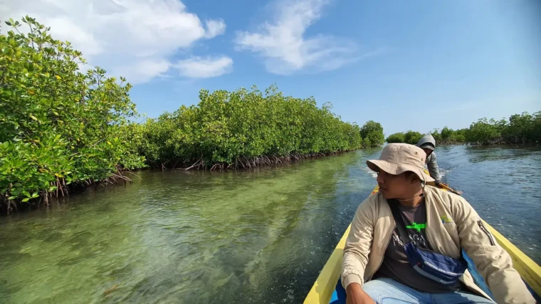 Hutan Mangrove Takalar