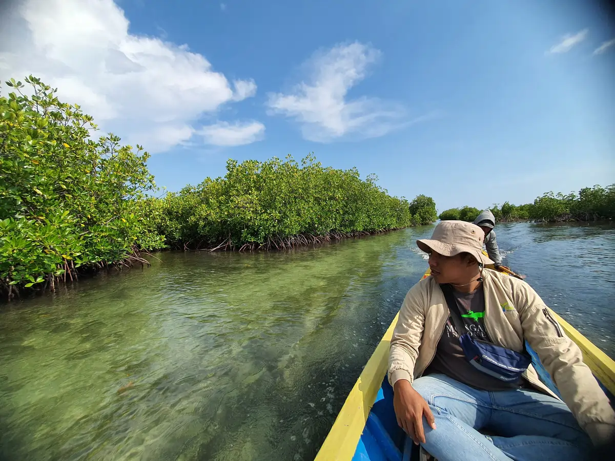 Hutan Mangrove Takalar