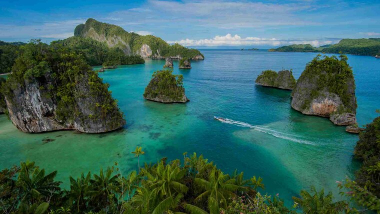 Pantai Teluk Triton: Keajaiban Laut Kaimana yang Menawan dan Belum Banyak Tersentuh