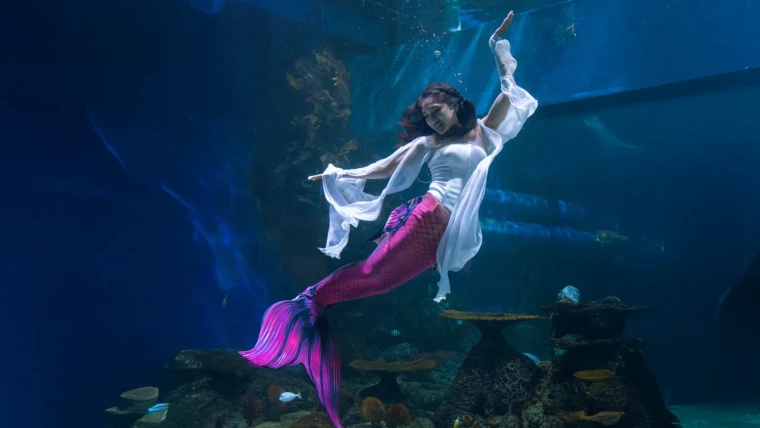 Jakarta Aquarium & Safari: Wisata Jakarta Barat Paling Populer dengan Keajaiban Dunia Laut dan Darat