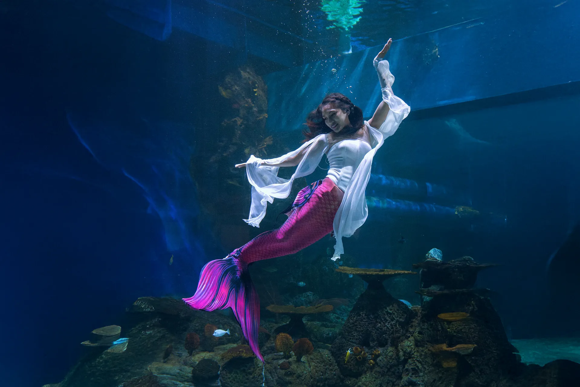 Jakarta Aquarium & Safari: Wisata Jakarta Barat Paling Populer dengan Keajaiban Dunia Laut dan Darat