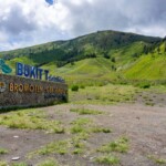 Bukit Teletubbies Bromo, Sabana Hijau di Tengah Laut Pasir