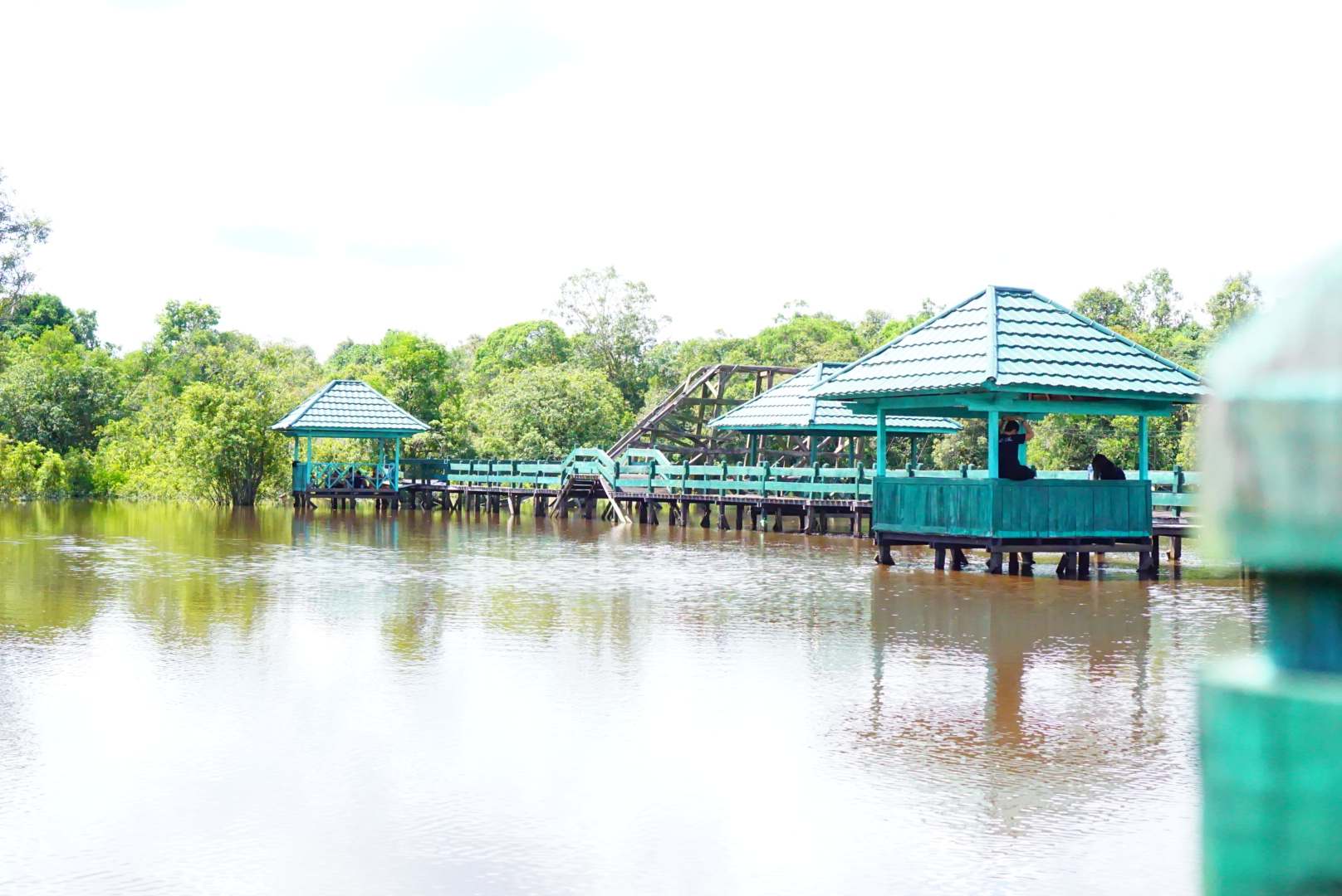 Danau Tahai, Cermin Merah Hutan Gambut Kalimantan Tengah
