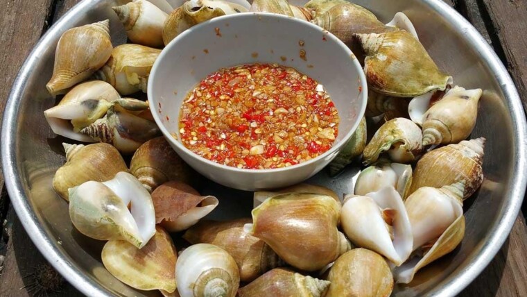 Resep Gonggong: Cita Rasa Laut dari Kepulauan Riau yang Menggoda Selera