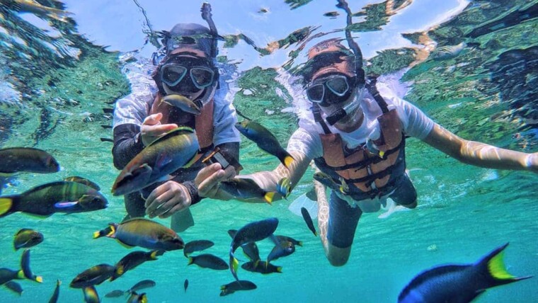 Pulau Menjangan Kecil, Akuarium Alam Paling Jernih di Karimunjawa Jawa Tengah