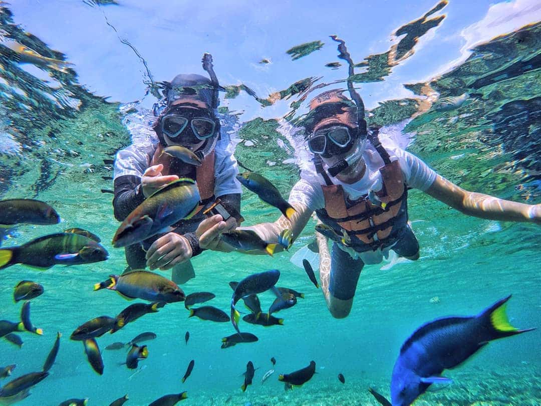 Pulau Menjangan Kecil, Akuarium Alam Paling Jernih di Karimunjawa Jawa Tengah